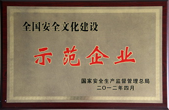 全国安全文化建设示范企业