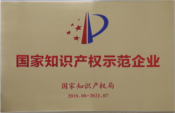 国家知识产权示范企业